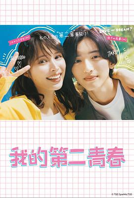 seo官网优化价格